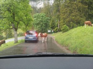 20140609_182926-1024x768